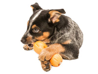 Qwizl Treat Toy - small - aqua