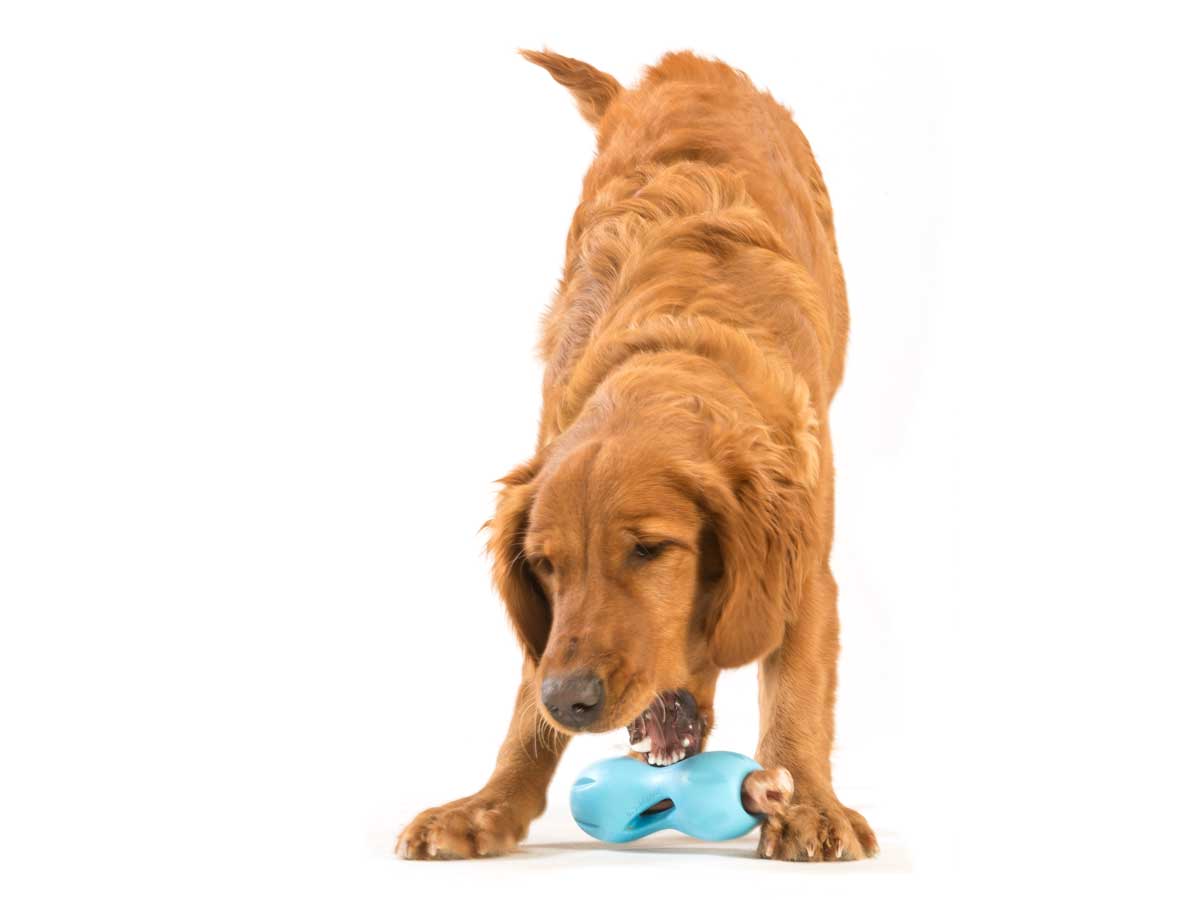 Qwizl Treat Toy - small - granny-smith