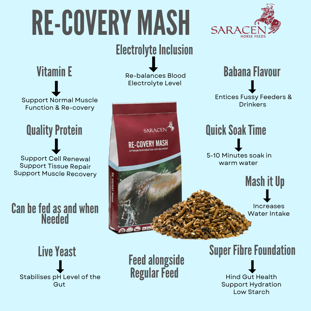 Re-Covery Mash