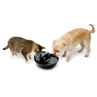 Thumbnail for Raindrop Durable Ceramic Pet Fountain 60 oz (Black)