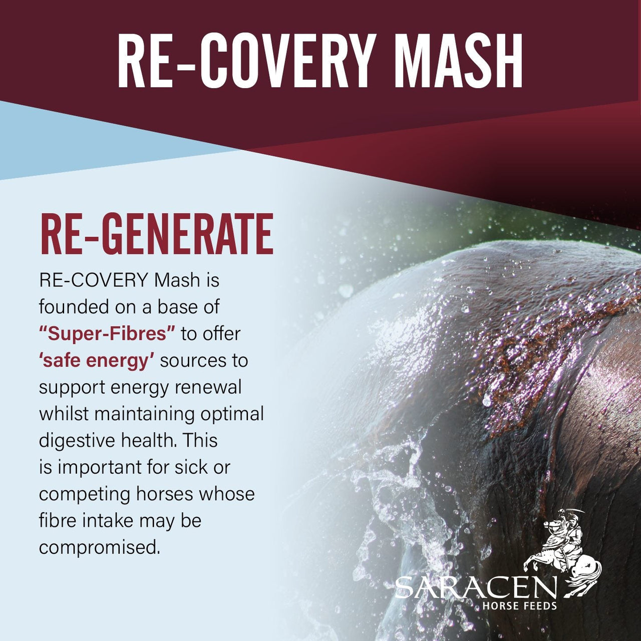 Re-Covery Mash