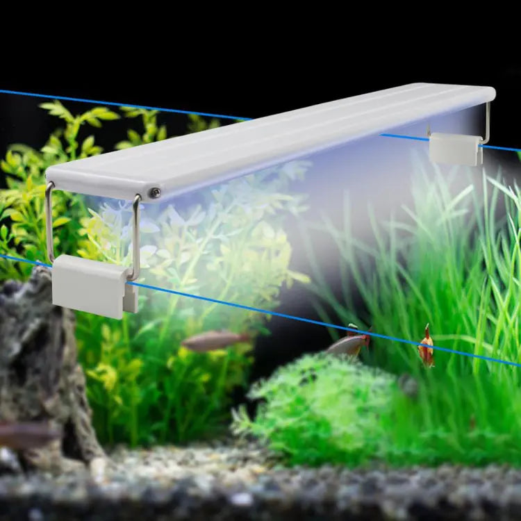 Roxin Led Top Light Colorfull[Power - 8W, Length - 30-40cm]