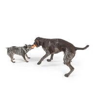 Rumpus Chew Toy - small - aqua