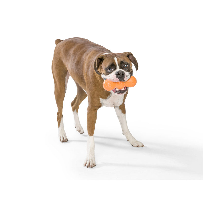 Rumpus Chew Toy - medium - granny-smith