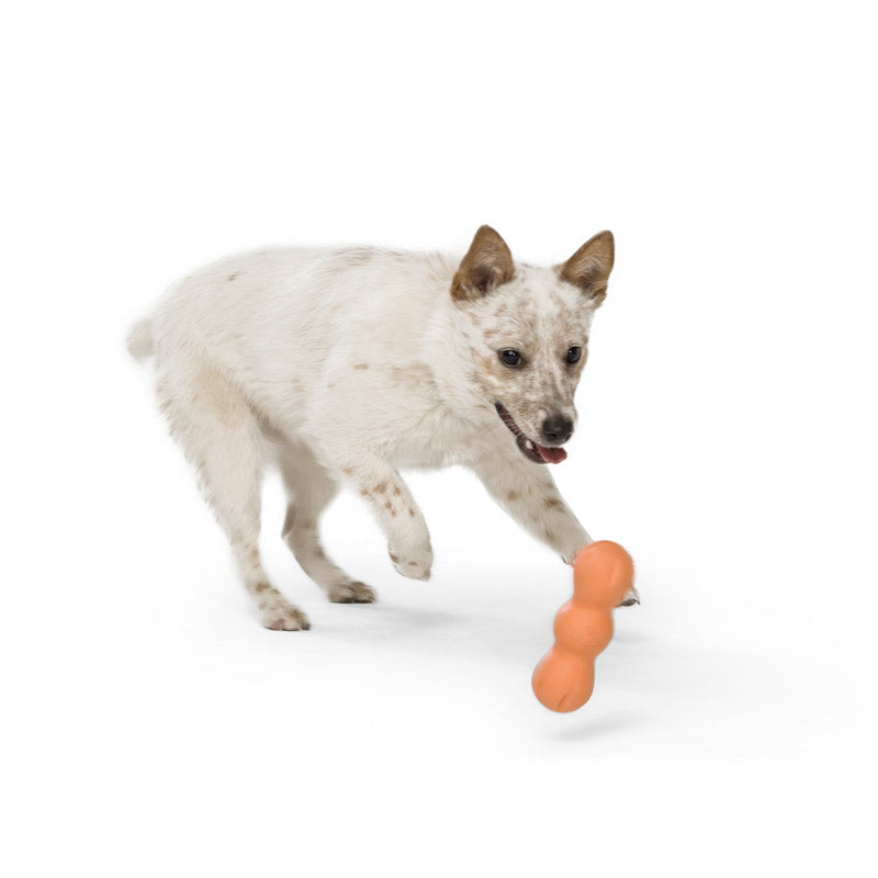 Rumpus Chew Toy - tangerine