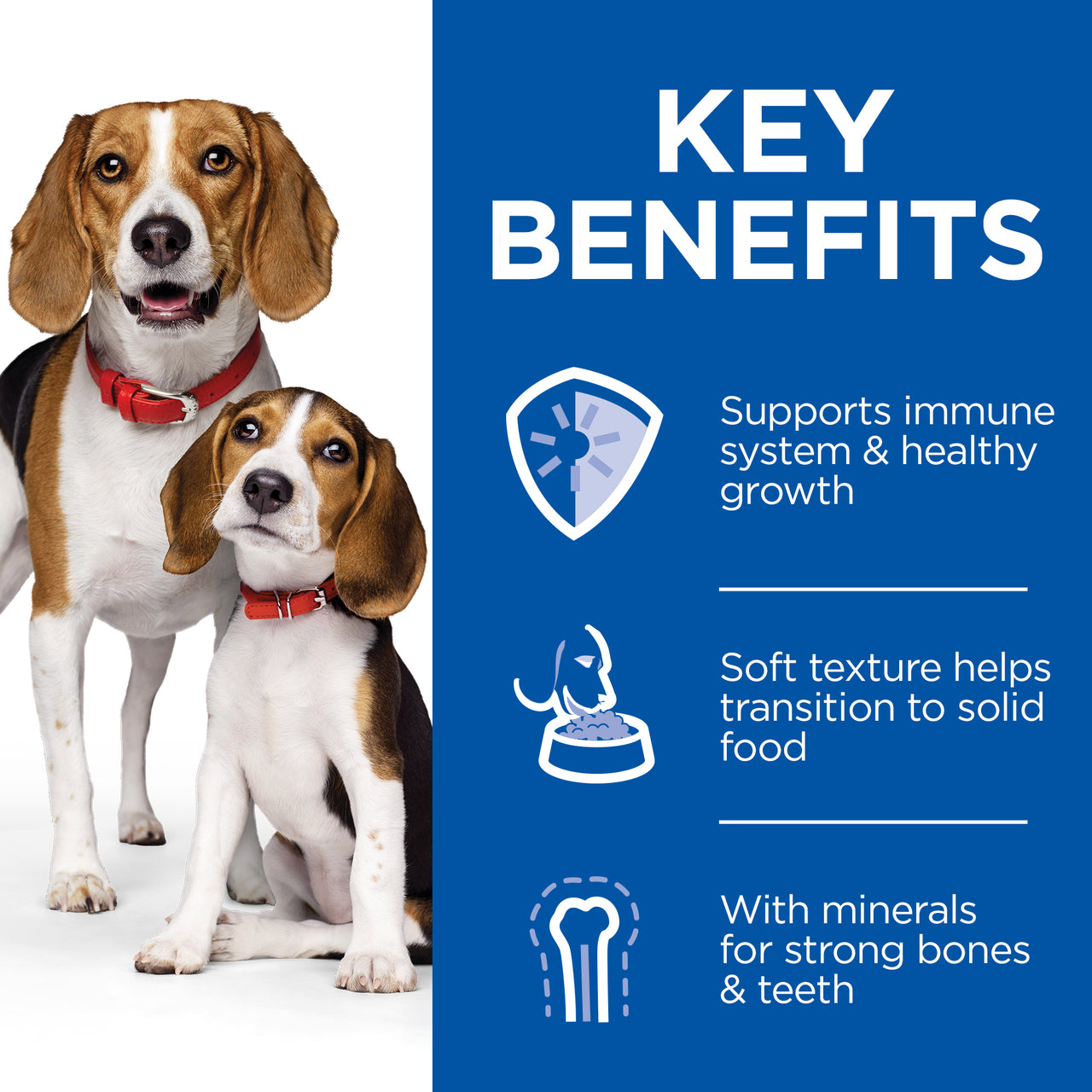 Hill’s Science Plan Puppy & Mother Mousse with Chicken (12x200g) (EXP: 11.25)