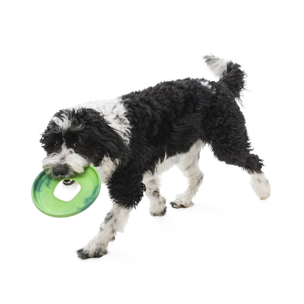 Sailz Seaflex Frisbee Disc Dog Toy - emerald