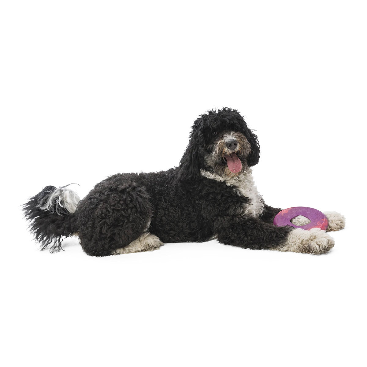 Sailz Seaflex Frisbee Disc Dog Toy - hibiscus