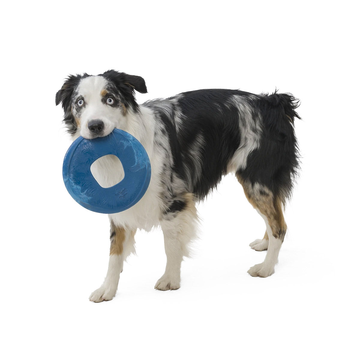 Sailz Seaflex Frisbee Disc Dog Toy - large - hibiscus