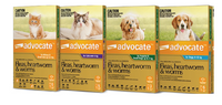 Advocate spot on for small cats up to 4kg