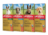 Advantix spot on for Dogs up to 4kg