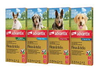 Advantix spot on for Dogs up to 4kg