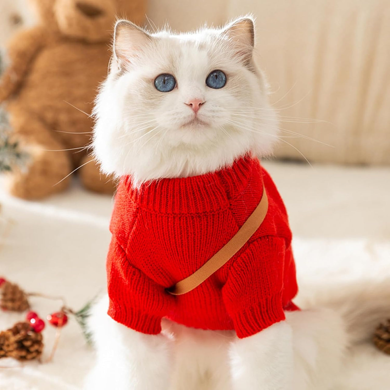 Seasopet Christmas Outfit 30x40cm - Medium