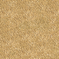 Sera Betta Granules 50 ml