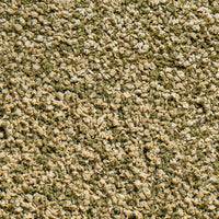 Sera Vipagran Granules 100ml
