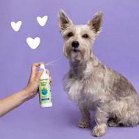Earthbath Shea Butter Spray 8 oz