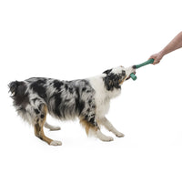 Snorkl Seaflex Dog Toy - large - hibiscus