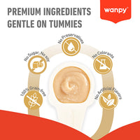 WANPY Lickable Cream Spoon – Salmon For Cat – (16g x 10pcs/box)