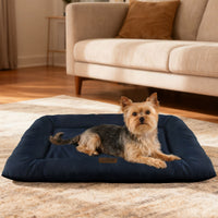 GiGwi Place Sweet Dreams Blue Soft Flat Mat - large
