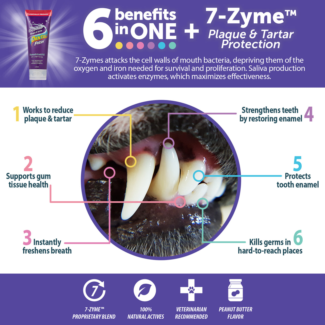 Synergy Labs Dental Fresh Enzymatic Plaque & Tartar Dental Gel 2.5 oz - 70.87 g
