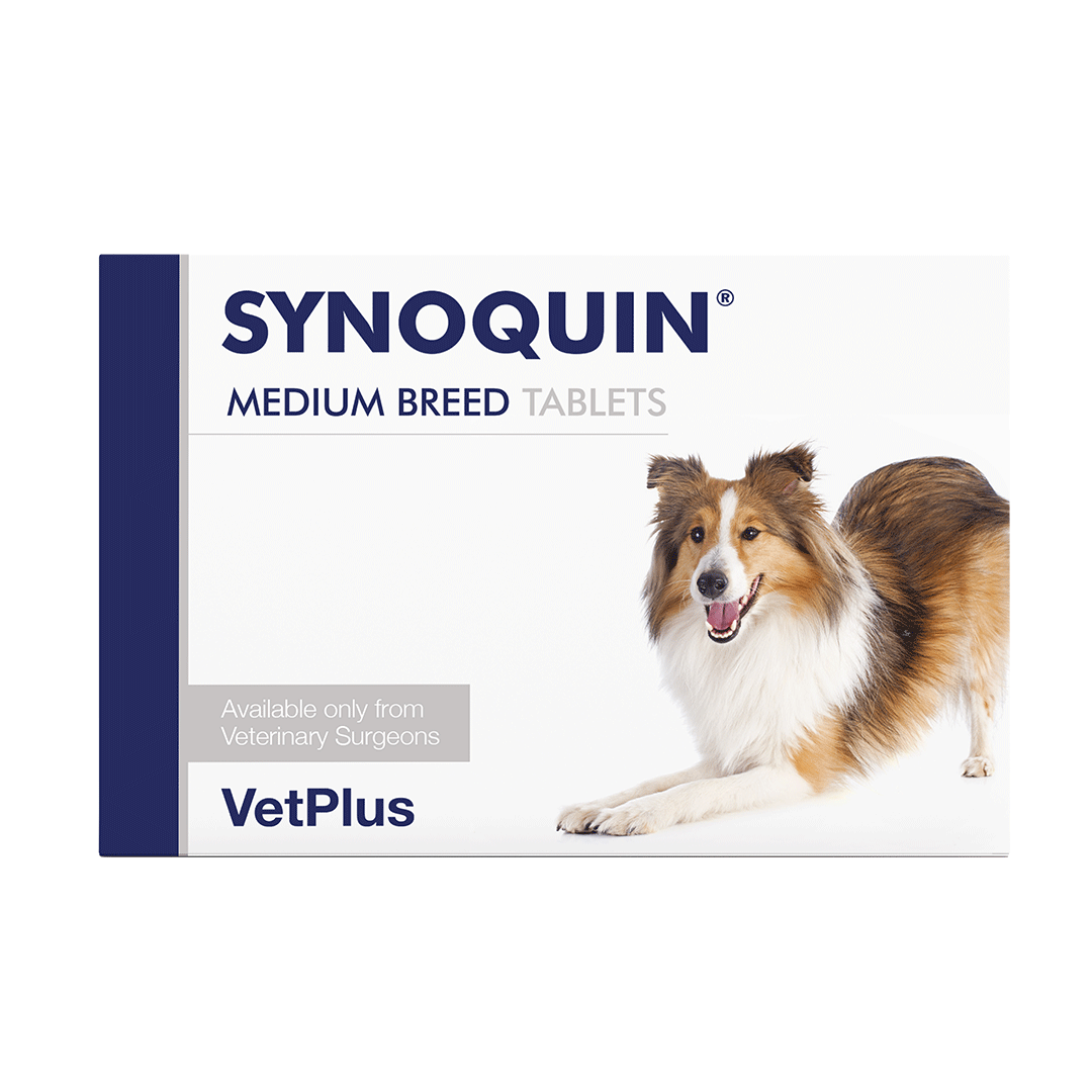 Synoquin Medium Breed Tablets