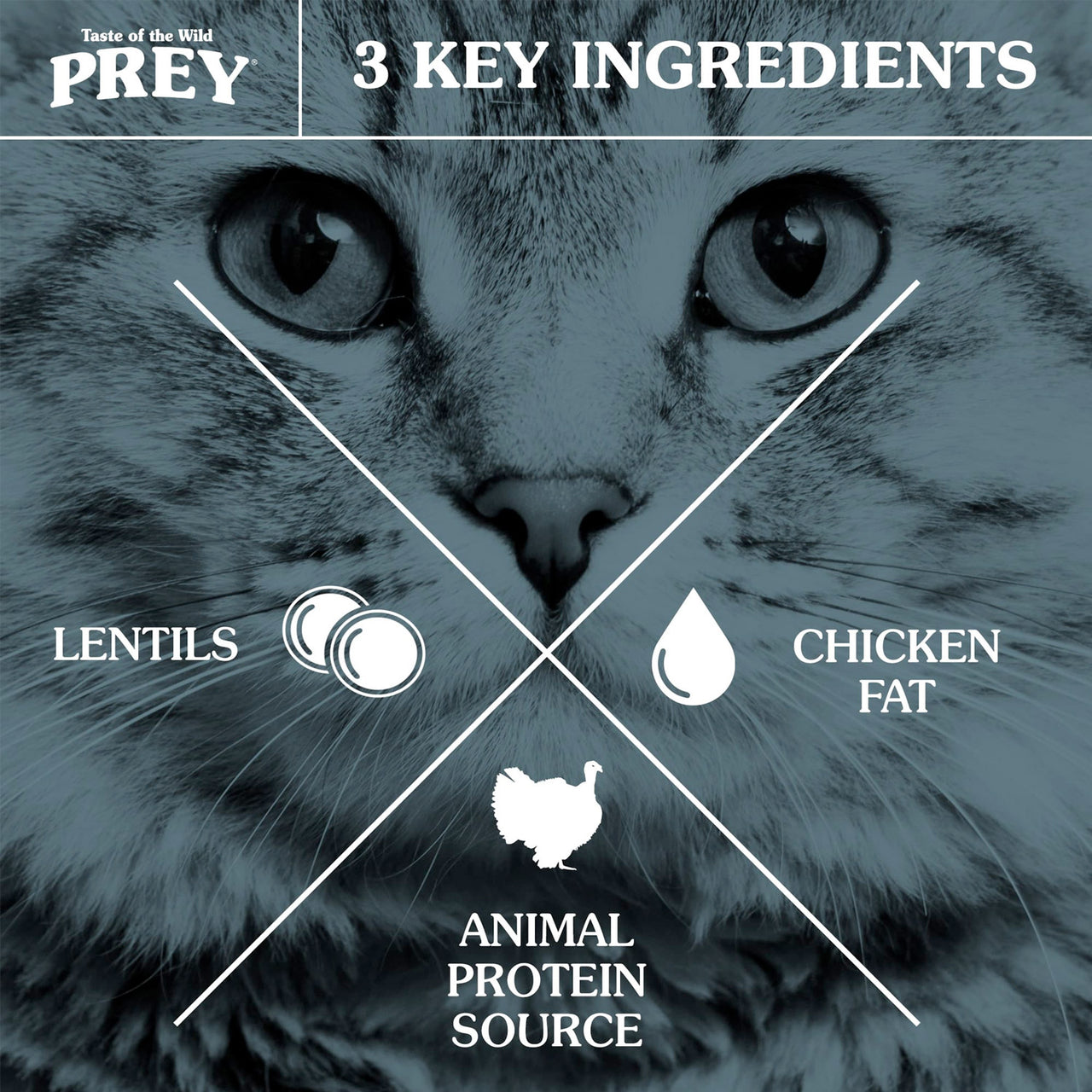 PREY Angus Beef Limited Ingredient Formula for Cats - 2.7kg (6 lbs)