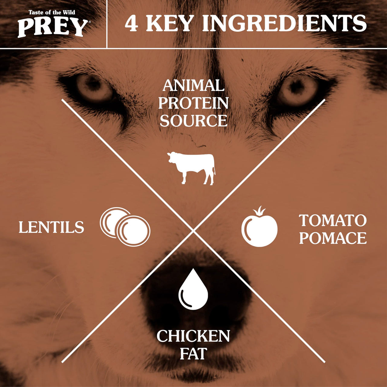 PREY Angus Beef Limited Ingredient Formula - 3.63kg (8 lbs)