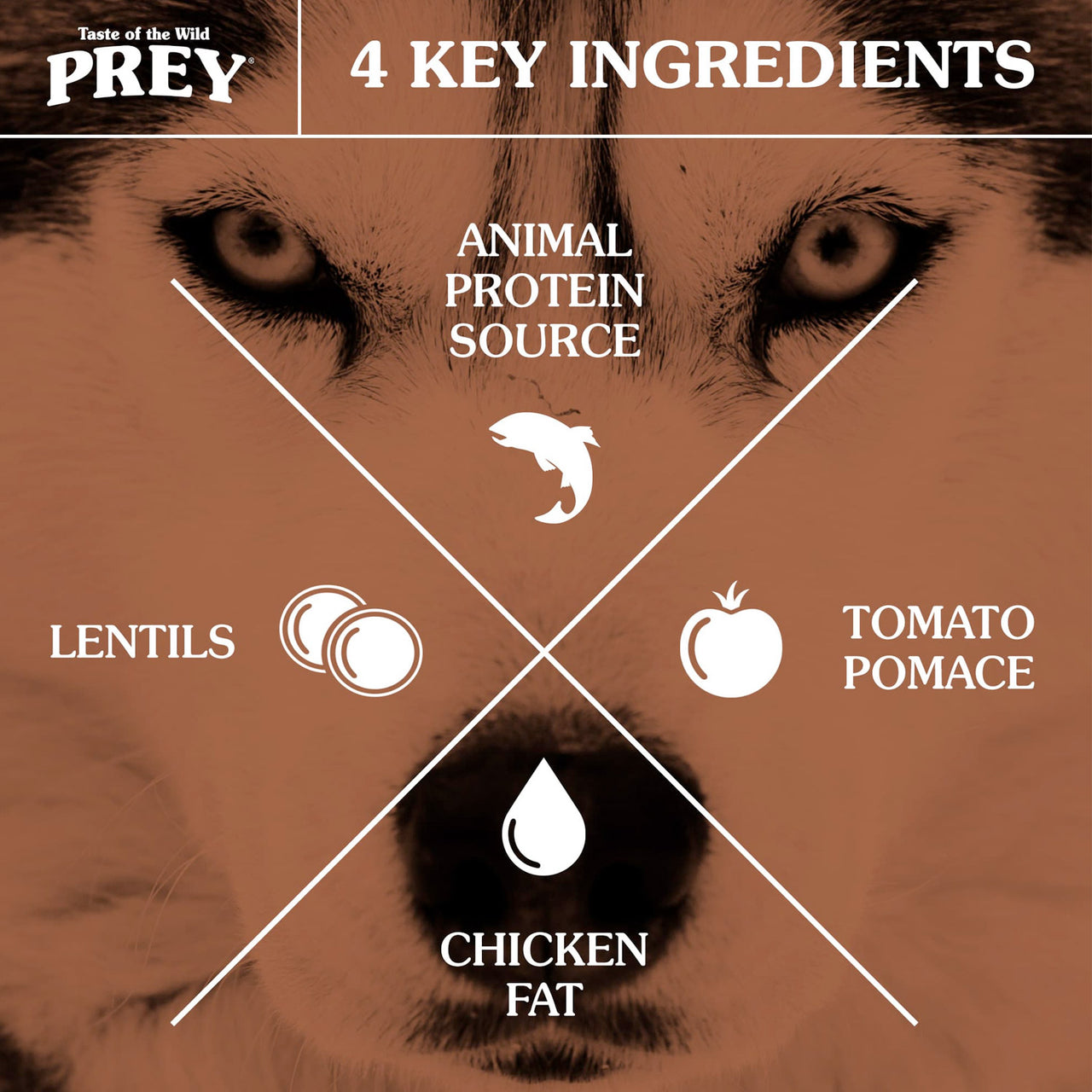 PREY Trout Limited Ingredient Formula for Dogs - 3.63kg (8 lbs)