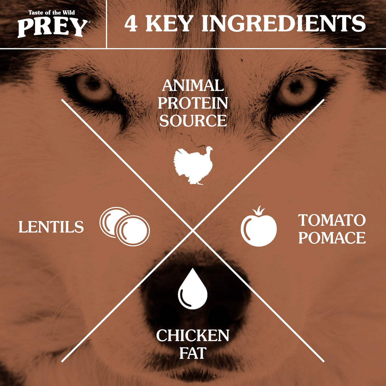 PREY Turkey Limited Ingredient Formula for Dogs - 11.4kg(25 lbs)