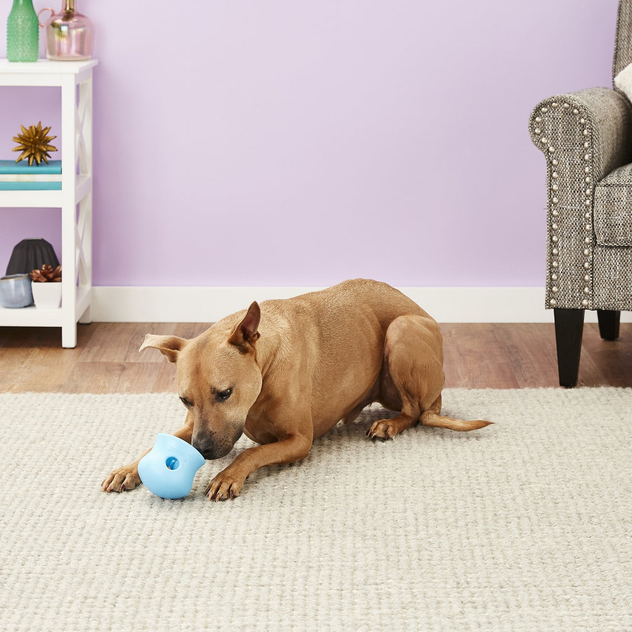 Toppl Treat Toy - small - tangerine