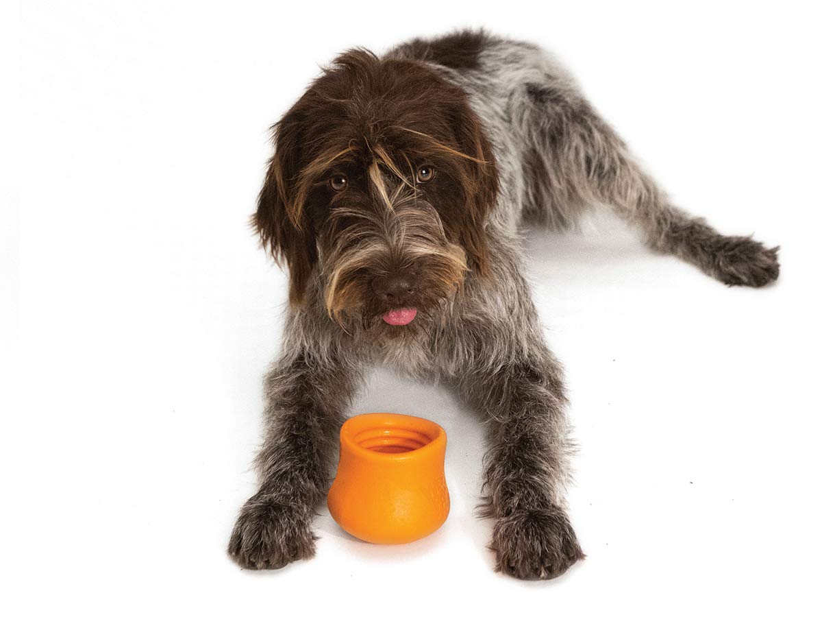 Toppl Treat Toy - small - aqua