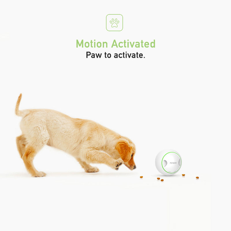 Foodie Orb – Automatic Rolling Treat Ball