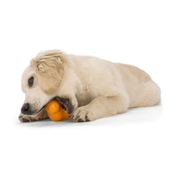 Tux Treat Toy - small - tangerine