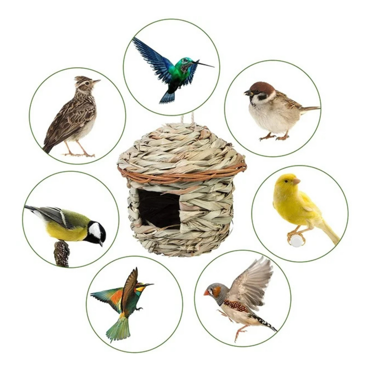 VanPet House for Small & Medium Birds -15x20cm