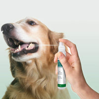 Thumbnail for Advanced Dental Spray With Peppermint and Aloe Vera 14ml