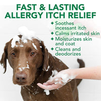 Thumbnail for Vet’s Best Allergy Itch Relief Dog Shampoo 16 oz