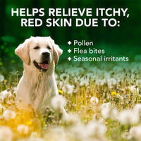 Thumbnail for Vet’s Best Allergy Itch Relief Dog Shampoo 16 oz