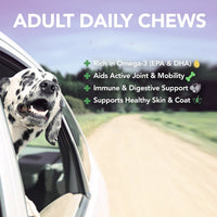 Thumbnail for Vet’s Best Daily Chews (180 Soft Chews) – Adult