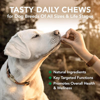 Thumbnail for Vet’s Best Daily Chews (180 Soft Chews) – Adult