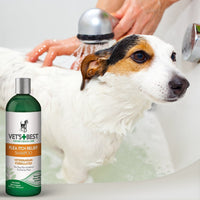 Thumbnail for Vet’s Best Flea Itch Relief Shampoo 16-oz