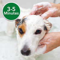 Thumbnail for Vet’s Best Flea Itch Relief Shampoo 16-oz