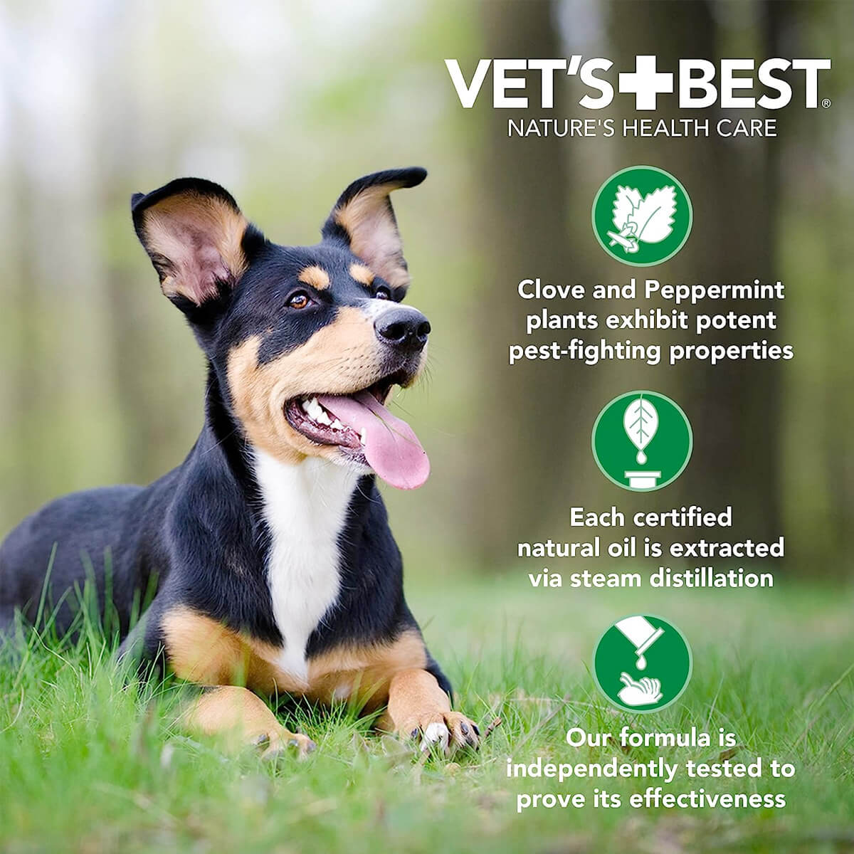 Vet’s Best Flea + Tick Yard & Kennel Spray  (32 oz)