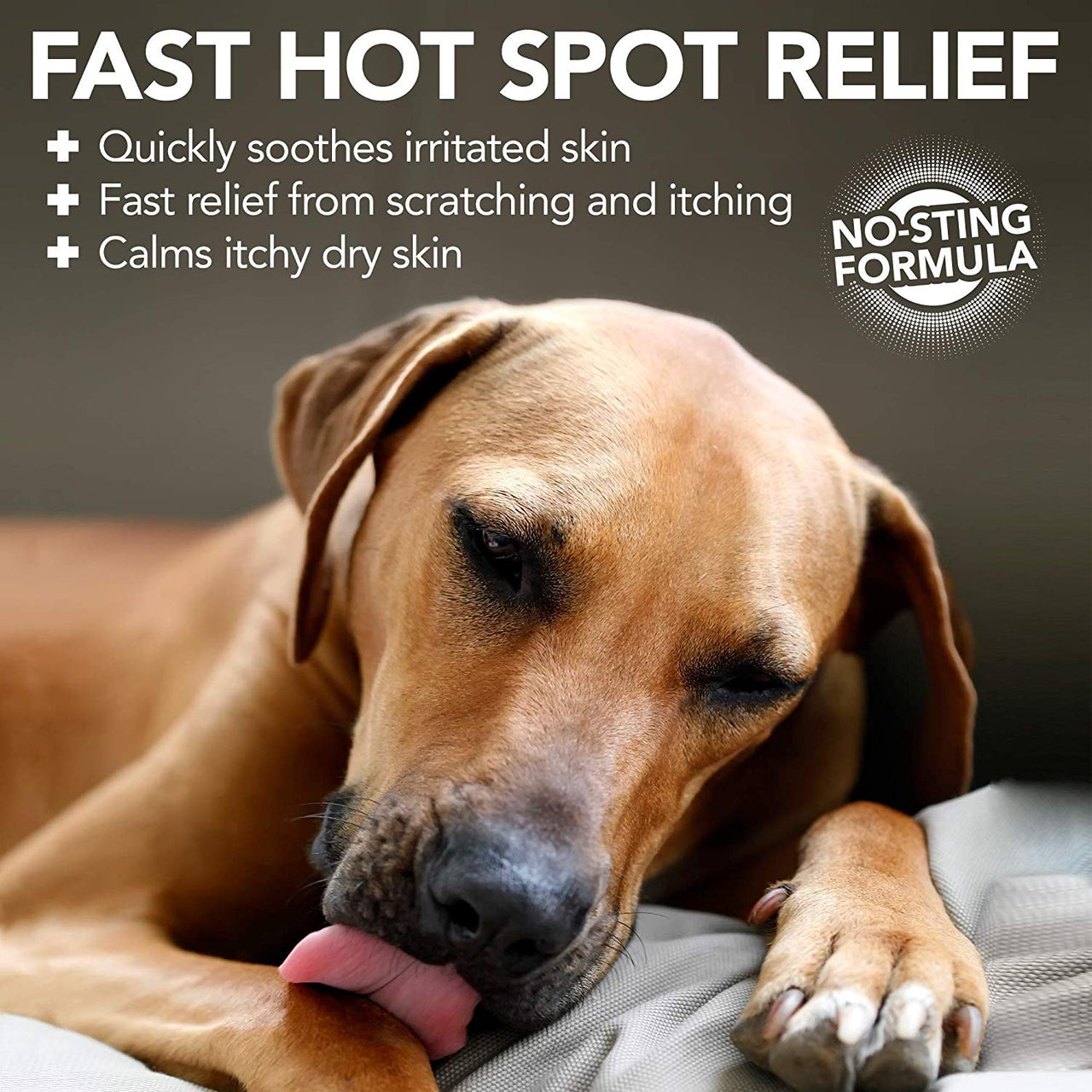 Vet’s Best Hot Spot Foam (4oz)