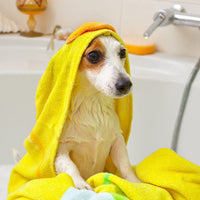 Thumbnail for Vet’s Best Hypo-Allergenic Shampoo (16oz)