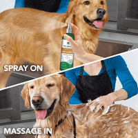 Thumbnail for Vet’s Best Natural Anti-Flea Easy Spray Shampoo (16 oz)