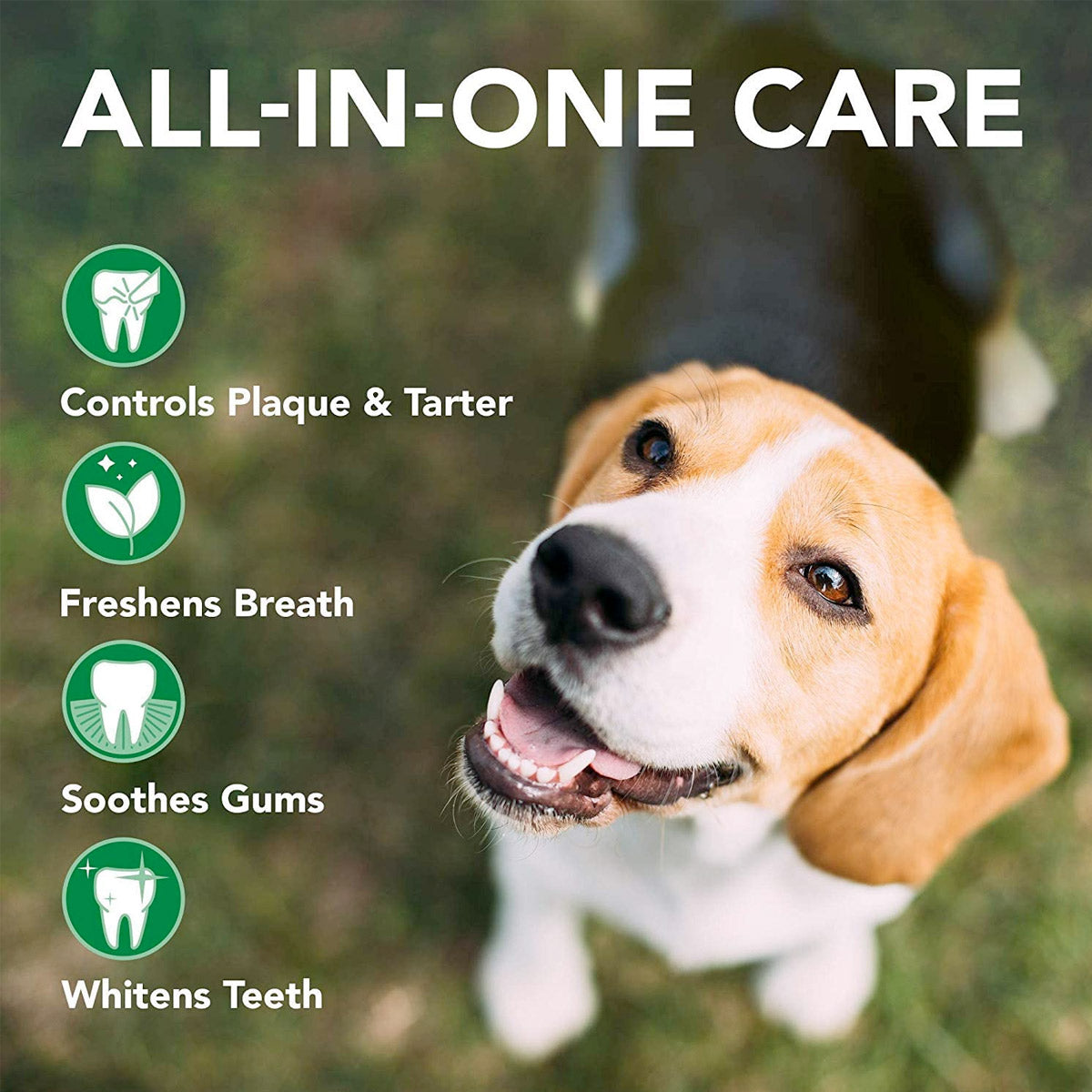 Vets Best Triple Headed Toothbrush for Dogs