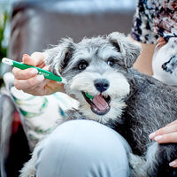 Thumbnail for Vets Best Triple Headed Toothbrush for Dogs