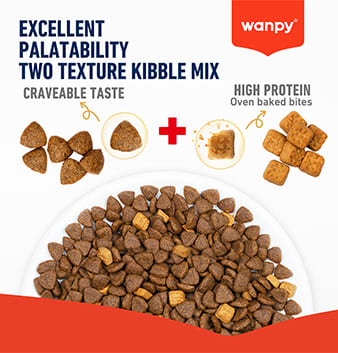 WANPY Grain Free Complete Food For Dog – Salmon Recipe - 1.5Kg