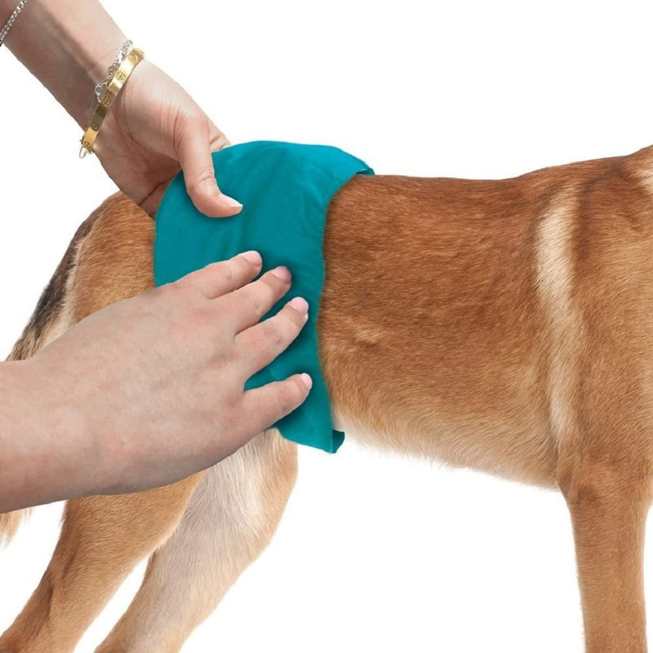 Simple Solution Washable Male Dog Wraps - large