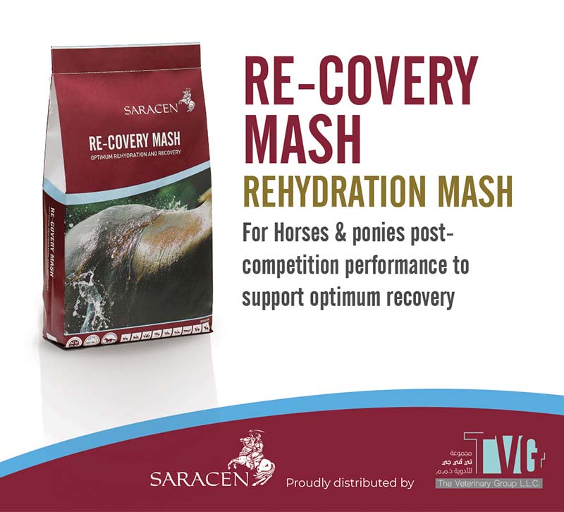 Re-Covery Mash